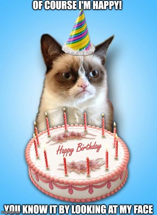 Grumpy cat birthday | OF COURSE I'M HAPPY! YOU KNOW IT BY LOOKING AT MY FACE | image tagged in grumpy cat birthday | made w/ Imgflip meme maker
