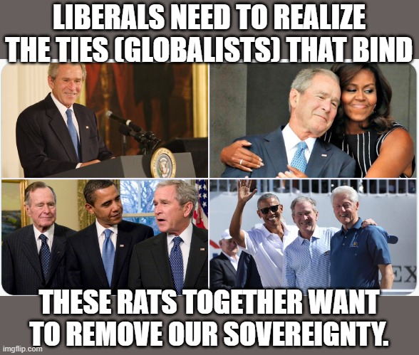 Family Ties. | LIBERALS NEED TO REALIZE
THE TIES (GLOBALISTS) THAT BIND; THESE RATS TOGETHER WANT TO REMOVE OUR SOVEREIGNTY. | image tagged in george bush,barack obama,bill clinton,george bush sr,michelle obama | made w/ Imgflip meme maker