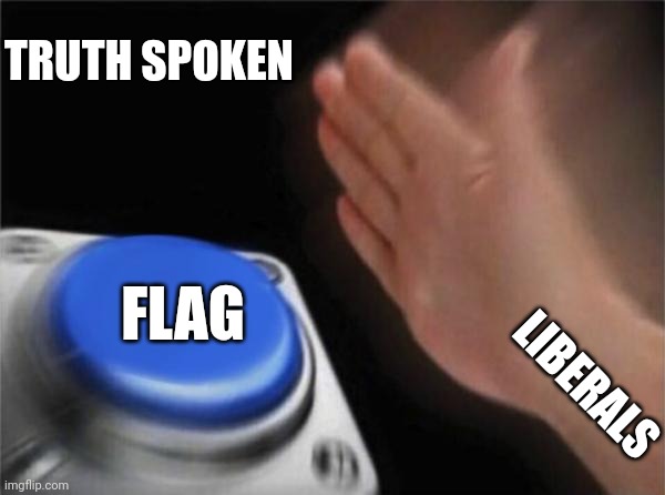 Blank Nut Button Meme | TRUTH SPOKEN FLAG LIBERALS | image tagged in memes,blank nut button | made w/ Imgflip meme maker
