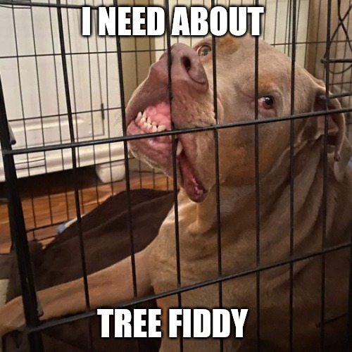 Johnny Hollywood | I NEED ABOUT; TREE FIDDY | image tagged in johnny hollywood,south park,memes,funny memes,funny dogs,dogs | made w/ Imgflip meme maker