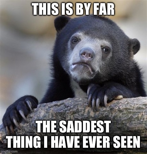 Confession Bear Meme | THIS IS BY FAR; THE SADDEST THING I HAVE EVER SEEN | image tagged in memes,confession bear | made w/ Imgflip meme maker