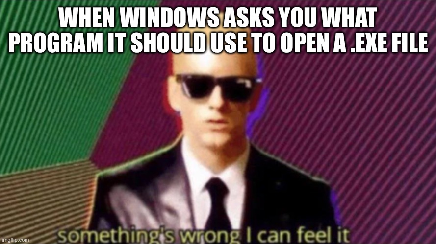 (Insert funny title here) | WHEN WINDOWS ASKS YOU WHAT PROGRAM IT SHOULD USE TO OPEN A .EXE FILE | image tagged in something's wrong i can feel it,windows,error | made w/ Imgflip meme maker