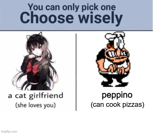 Choose wisely | peppino; (can cook pizzas) | image tagged in choose wisely | made w/ Imgflip meme maker