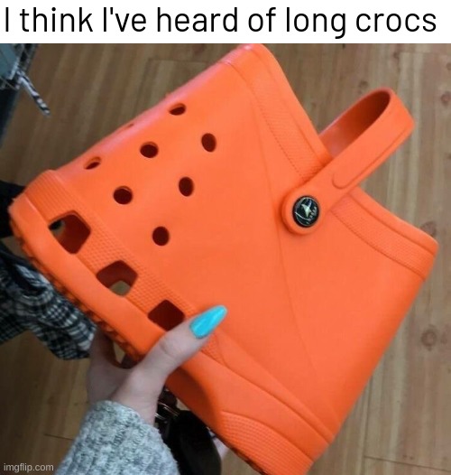 I think I've heard of long crocs | image tagged in memes,funny | made w/ Imgflip meme maker