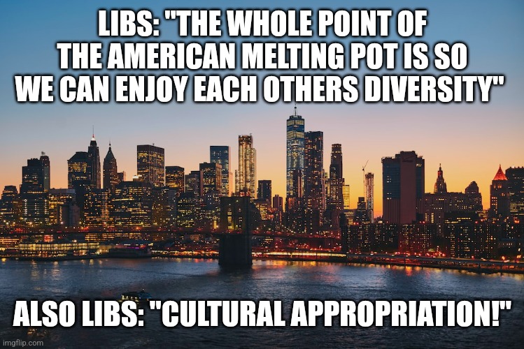 LIBS: "THE WHOLE POINT OF THE AMERICAN MELTING POT IS SO WE CAN ENJOY EACH OTHERS DIVERSITY"; ALSO LIBS: "CULTURAL APPROPRIATION!" | image tagged in funny memes | made w/ Imgflip meme maker
