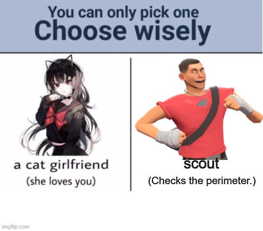 :) | scout; (Checks the perimeter.) | image tagged in choose wisely | made w/ Imgflip meme maker