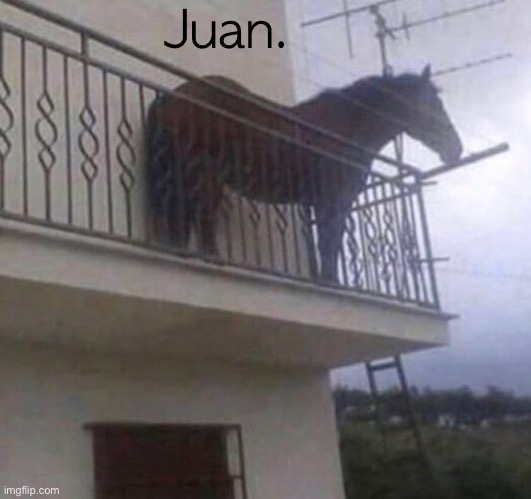 Juan. | Juan. | image tagged in juan | made w/ Imgflip meme maker