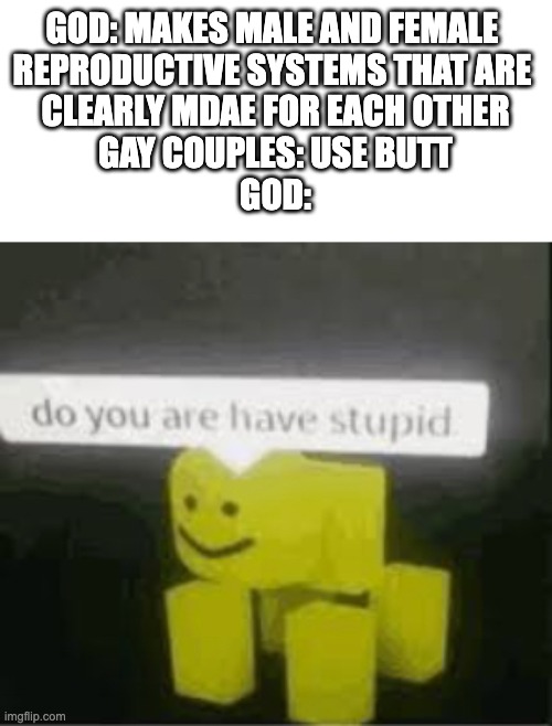 This is not me being against gay peoples, im just saying | GOD: MAKES MALE AND FEMALE 
REPRODUCTIVE SYSTEMS THAT ARE 
CLEARLY MDAE FOR EACH OTHER
GAY COUPLES: USE BUTT
GOD: | image tagged in do you are have stupid,gay,gay jokes | made w/ Imgflip meme maker