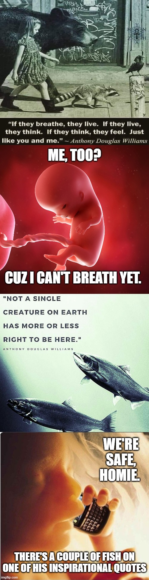 I don't assume the guy was pro life. I was just making a joke. Also, insert Pisces joke. | ME, TOO? CUZ I CAN'T BREATH YET. WE'RE SAFE, HOMIE. THERE'S A COUPLE OF FISH ON ONE OF HIS INSPIRATIONAL QUOTES | image tagged in fetus,baby in womb on cell phone - fetus blackberry,pro life,animal rights,anthony douglas williams,girl with animals | made w/ Imgflip meme maker