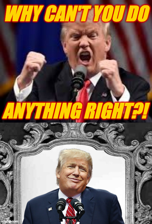 The man in the mirror. | WHY CAN'T YOU DO; ANYTHING RIGHT?! | image tagged in trump angry punch,mirror,memes | made w/ Imgflip meme maker