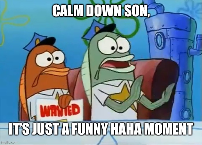 Calm down son | CALM DOWN SON, IT’S JUST A FUNNY HAHA MOMENT | image tagged in calm down son | made w/ Imgflip meme maker