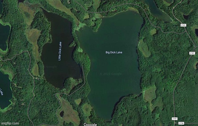 who tf named these | made w/ Imgflip meme maker