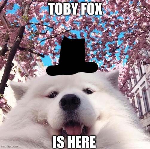 The undertale creator | TOBY FOX; IS HERE | image tagged in chonker | made w/ Imgflip meme maker