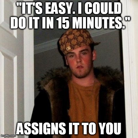 Scumbag Steve | "IT'S EASY. I COULD DO IT IN 15 MINUTES." ASSIGNS IT TO YOU | image tagged in memes,scumbag steve | made w/ Imgflip meme maker