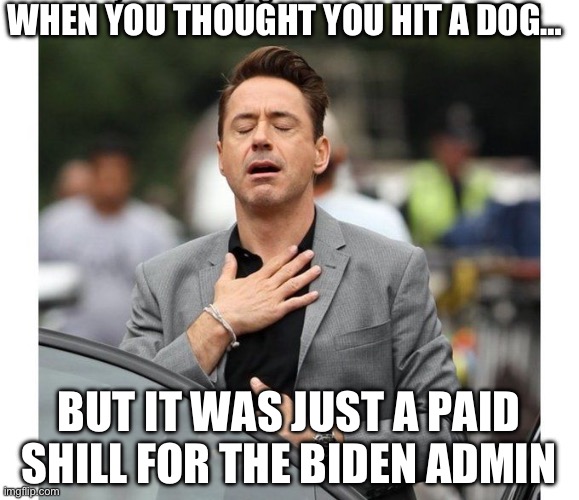WHEN YOU THOUGHT YOU HIT A DOG…; BUT IT WAS JUST A PAID SHILL FOR THE BIDEN ADMINISTRATION | image tagged in robert downey jr,joe biden,republicans,donald trump | made w/ Imgflip meme maker