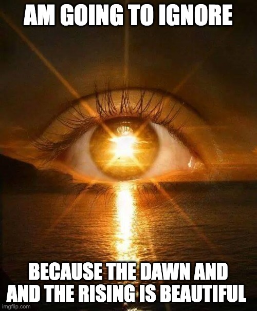 New Dawn | AM GOING TO IGNORE BECAUSE THE DAWN AND AND THE RISING IS BEAUTIFUL | image tagged in new dawn | made w/ Imgflip meme maker