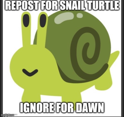 Snail turtle | made w/ Imgflip meme maker