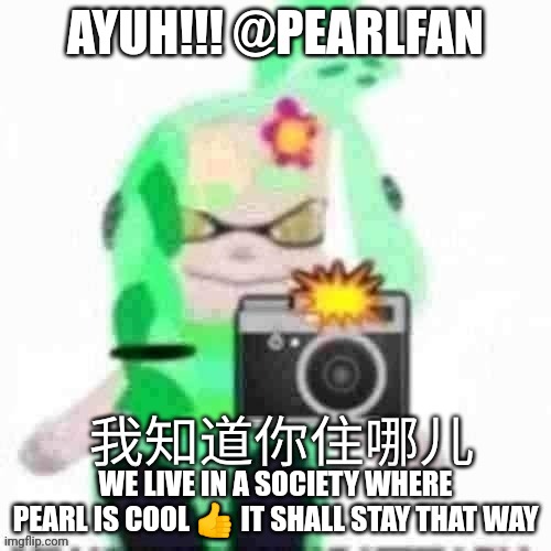 Yuh | AYUH!!! @PEARLFAN; WE LIVE IN A SOCIETY WHERE PEARL IS COOL 👍 IT SHALL STAY THAT WAY | image tagged in mint with chinese text | made w/ Imgflip meme maker
