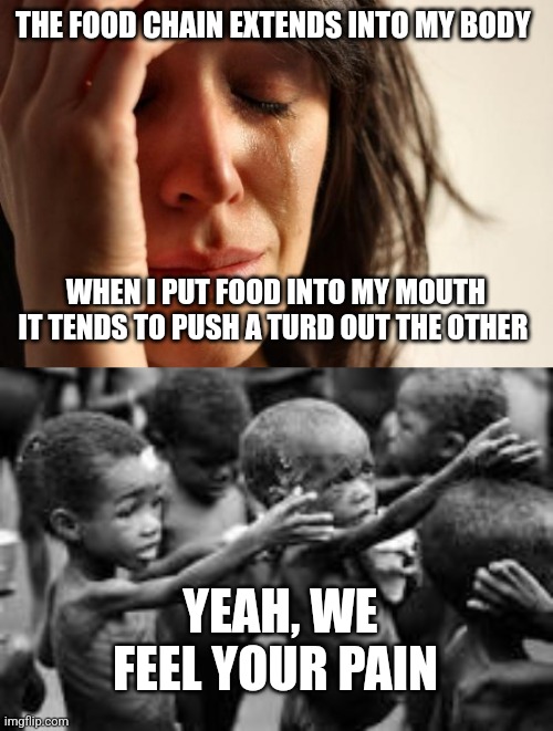 THE FOOD CHAIN EXTENDS INTO MY BODY; WHEN I PUT FOOD INTO MY MOUTH IT TENDS TO PUSH A TURD OUT THE OTHER; YEAH, WE FEEL YOUR PAIN | image tagged in memes,first world problems,starving africans | made w/ Imgflip meme maker