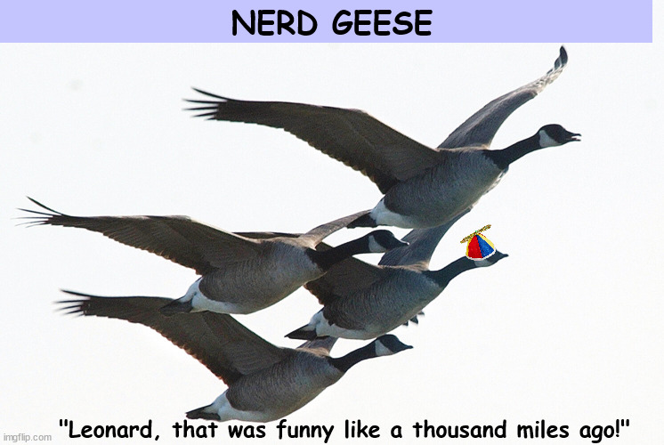 Nerd Geese | image tagged in nerd,nerds,geese,beanie,funny,memes | made w/ Imgflip meme maker