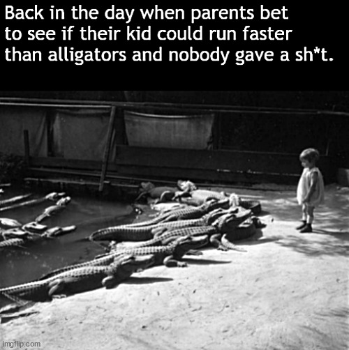 The WayBack Culture: Children & Alligators | image tagged in memes,dark humor,kids,alligators | made w/ Imgflip meme maker