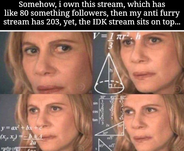 Make it make sense! | Somehow, i own this stream, which has like 80 something followers, then my anti furry stream has 203, yet, the IDK stream sits on top... | image tagged in math lady/confused lady | made w/ Imgflip meme maker