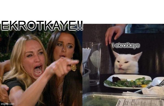 Ekrotkaye. | EKROTKAYE!! i ekrotkaye | image tagged in memes,woman yelling at cat | made w/ Imgflip meme maker