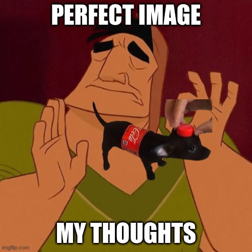 When X just right | PERFECT IMAGE; MY THOUGHTS | image tagged in when x just right | made w/ Imgflip meme maker