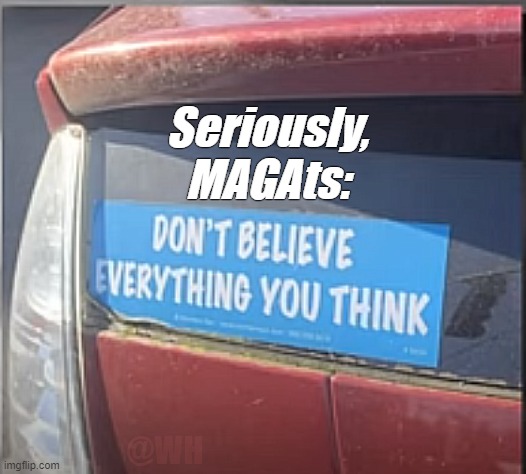 Seriously | Seriously,
MAGAts:; @WH | image tagged in magats,don't,believe | made w/ Imgflip meme maker