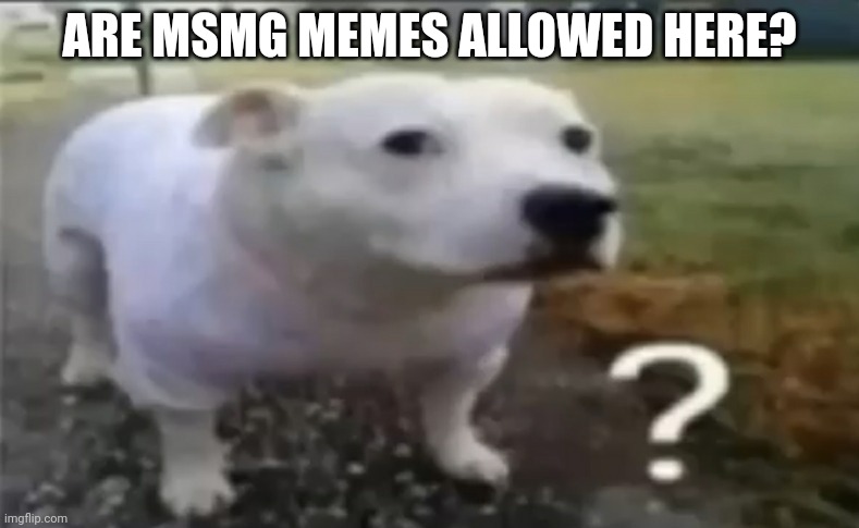 ? | ARE MSMG MEMES ALLOWED HERE? | made w/ Imgflip meme maker