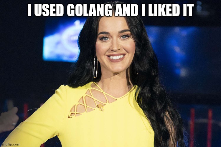 i used golang and i liked it | I USED GOLANG AND I LIKED IT | image tagged in development | made w/ Imgflip meme maker
