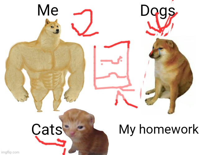 Buff Doge vs. Cheems | Me; Dogs; Cats; My homework | image tagged in memes,buff doge vs cheems | made w/ Imgflip meme maker
