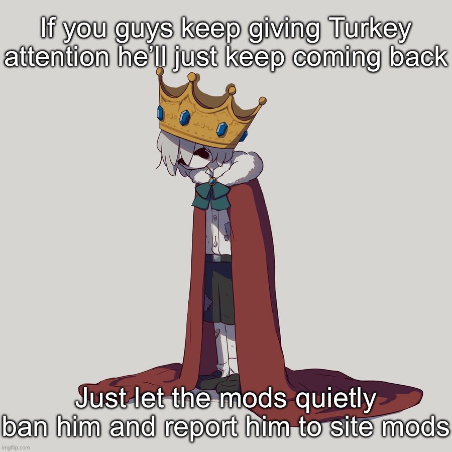 Avogado6 depression | If you guys keep giving Turkey attention he’ll just keep coming back; Just let the mods quietly ban him and report him to site mods | image tagged in avogado6 depression | made w/ Imgflip meme maker