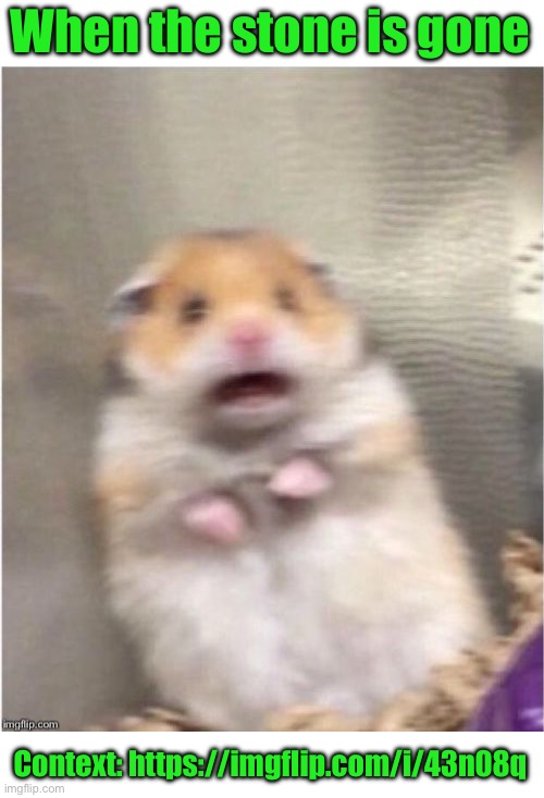 Scared Hamster | When the stone is gone; Context: https://imgflip.com/i/43n08q | image tagged in scared hamster | made w/ Imgflip meme maker