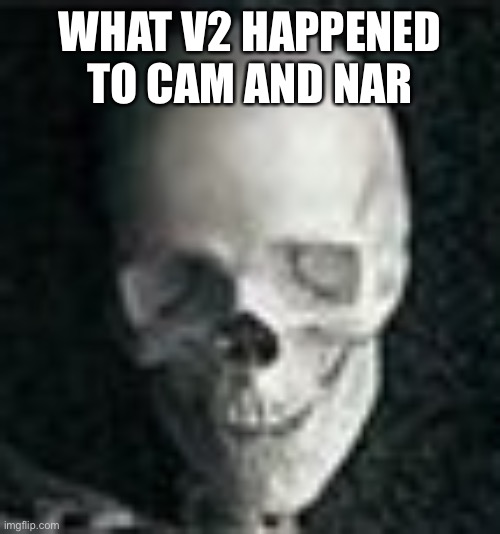 Skull | WHAT V2 HAPPENED TO CAM AND NAR | image tagged in skull | made w/ Imgflip meme maker