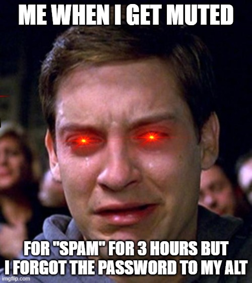 crying peter parker | ME WHEN I GET MUTED; FOR "SPAM" FOR 3 HOURS BUT I FORGOT THE PASSWORD TO MY ALT | image tagged in crying peter parker | made w/ Imgflip meme maker