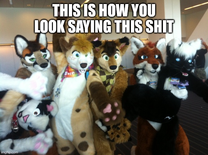 Furries | THIS IS HOW YOU LOOK SAYING THIS SHIT | image tagged in furries | made w/ Imgflip meme maker
