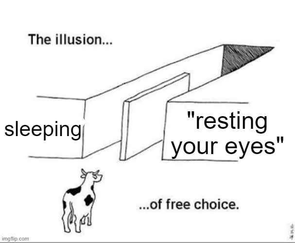 Illusion of free choice | sleeping; "resting your eyes" | image tagged in illusion of free choice | made w/ Imgflip meme maker