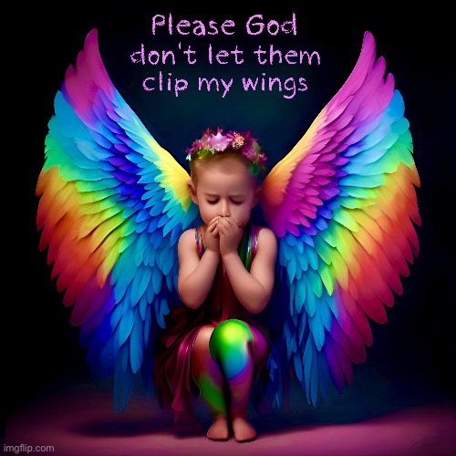 Please God don't let them clip my wings | image tagged in good,lgbtq,pride,gay pride,angel,rainbow | made w/ Imgflip meme maker