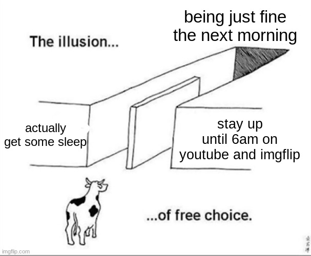 trying my best to make memenade material also comment if this is u | being just fine the next morning; actually get some sleep; stay up until 6am on youtube and imgflip | image tagged in illusion of free choice | made w/ Imgflip meme maker