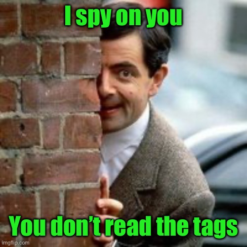 Spying Mr Bean | I spy on you; You don’t read the tags | image tagged in spying mr bean,oh so now you read the tags | made w/ Imgflip meme maker