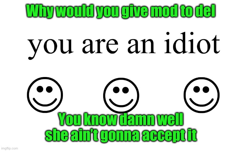 you are a TikToker | Why would you give mod to del; You know damn well she ain’t gonna accept it | image tagged in you are an idiot | made w/ Imgflip meme maker