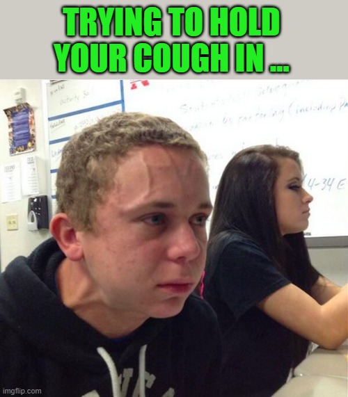 Exploding Face Kid | TRYING TO HOLD YOUR COUGH IN ... | image tagged in exploding face kid | made w/ Imgflip meme maker