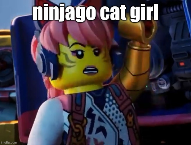 Anti-semetic Sora | ninjago cat girl | image tagged in anti-semetic sora | made w/ Imgflip meme maker
