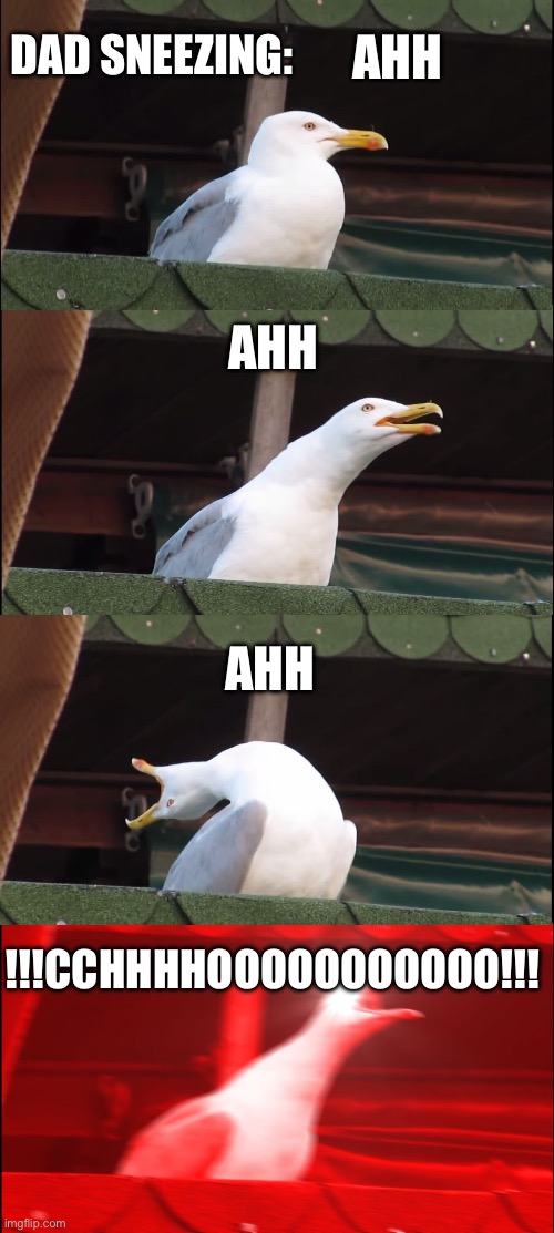 Inhaling Seagull | DAD SNEEZING:; AHH; AHH; AHH; !!!CCHHHHOOOOOOOOOOO!!! | image tagged in memes,inhaling seagull | made w/ Imgflip meme maker