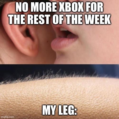 Whisper and Goosebumps | NO MORE XBOX FOR THE REST OF THE WEEK; MY LEG: | image tagged in whisper and goosebumps | made w/ Imgflip meme maker