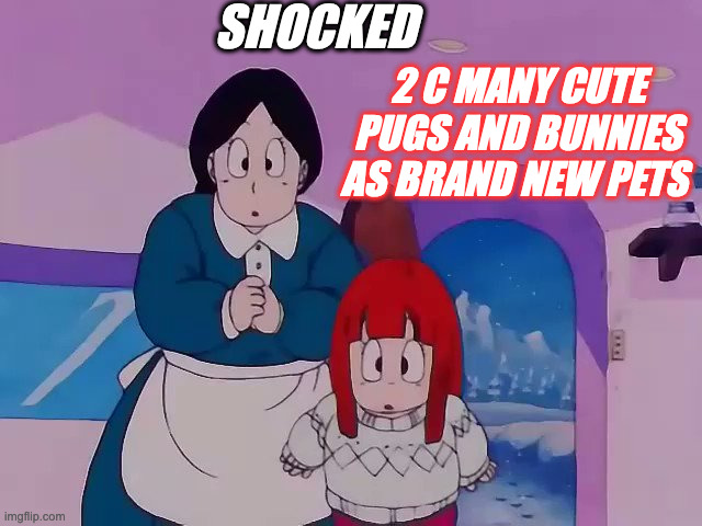 suno and mommy dragon ball series | SHOCKED; 2 C MANY CUTE PUGS AND BUNNIES AS BRAND NEW PETS | image tagged in suno and mommy dragon ball series | made w/ Imgflip meme maker