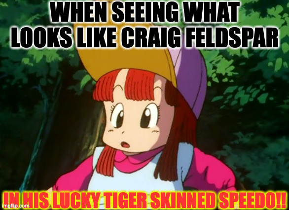 Suno of dragon ball | WHEN SEEING WHAT LOOKS LIKE CRAIG FELDSPAR; IN HIS LUCKY TIGER SKINNED SPEEDO!! | image tagged in suno of dragon ball | made w/ Imgflip meme maker