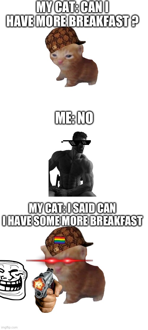 MY CAT: CAN I HAVE MORE BREAKFAST ? ME: NO; MY CAT: I SAID CAN I HAVE SOME MORE BREAKFAST | image tagged in memes | made w/ Imgflip meme maker