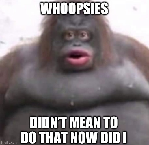 Le Monke | WHOOPSIES; DIDN’T MEAN TO DO THAT NOW DID I | image tagged in le monke | made w/ Imgflip meme maker
